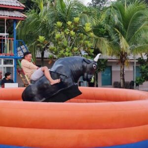 Rodeo Bull Ride