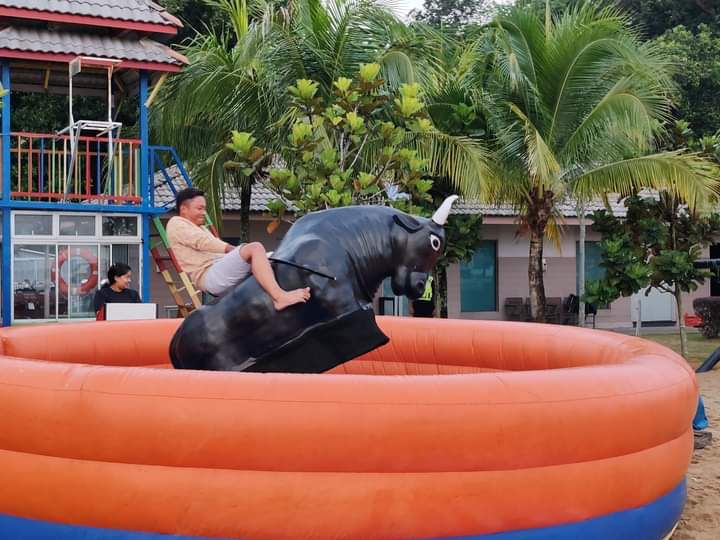 Rodeo Bull Ride