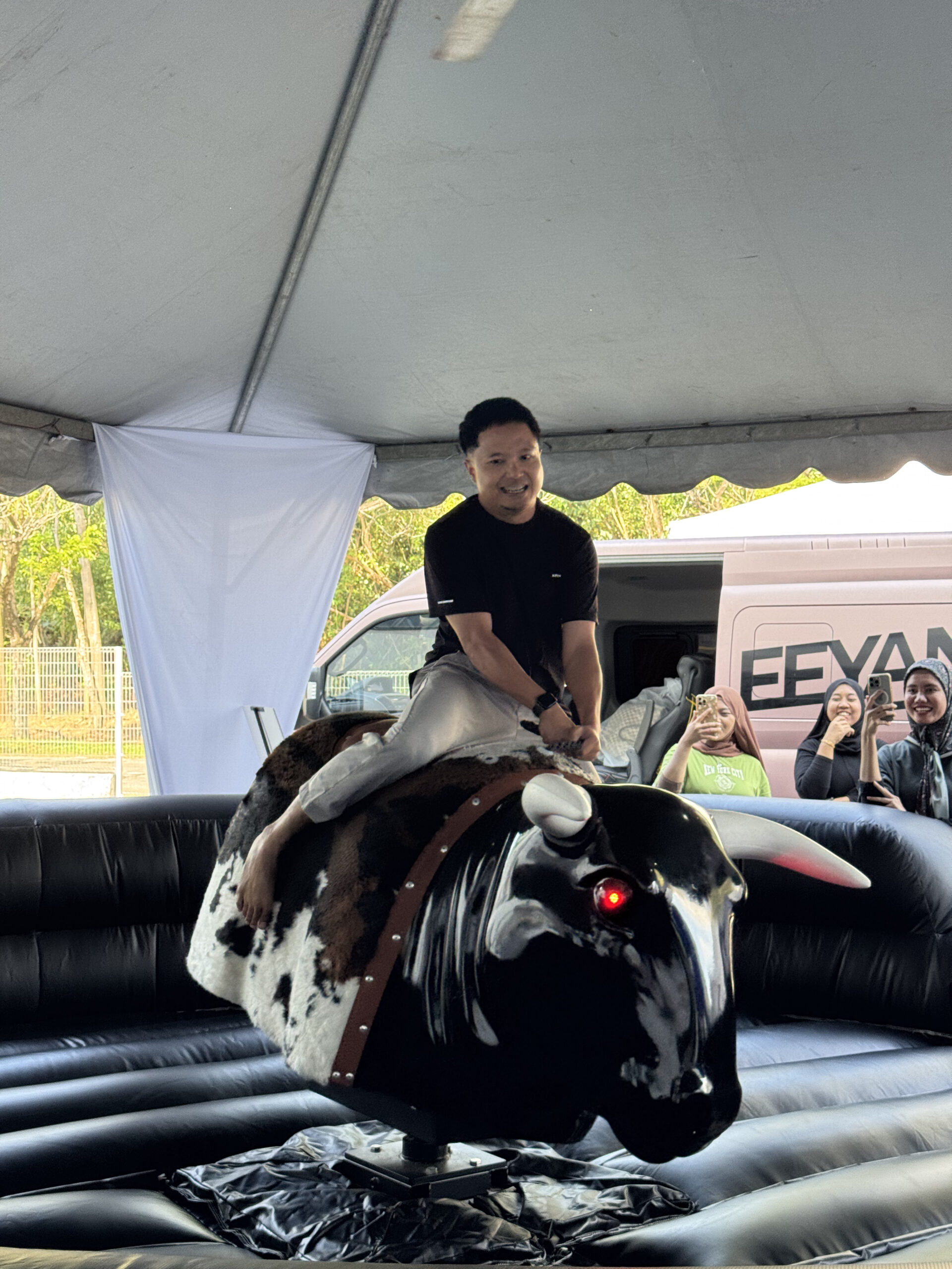 Rodeo Bull Ride - Image 2