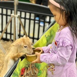 Petting Zoo