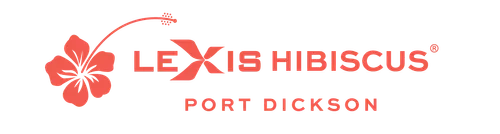 lexis_hibiscus